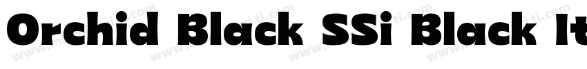 Orchid Black SSi Black Italic字体转换